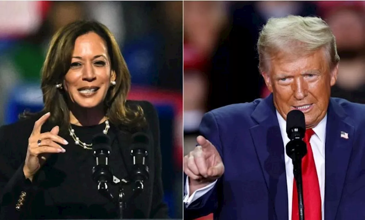 US polls: Trump at 168 electoral votes, Harris at 81