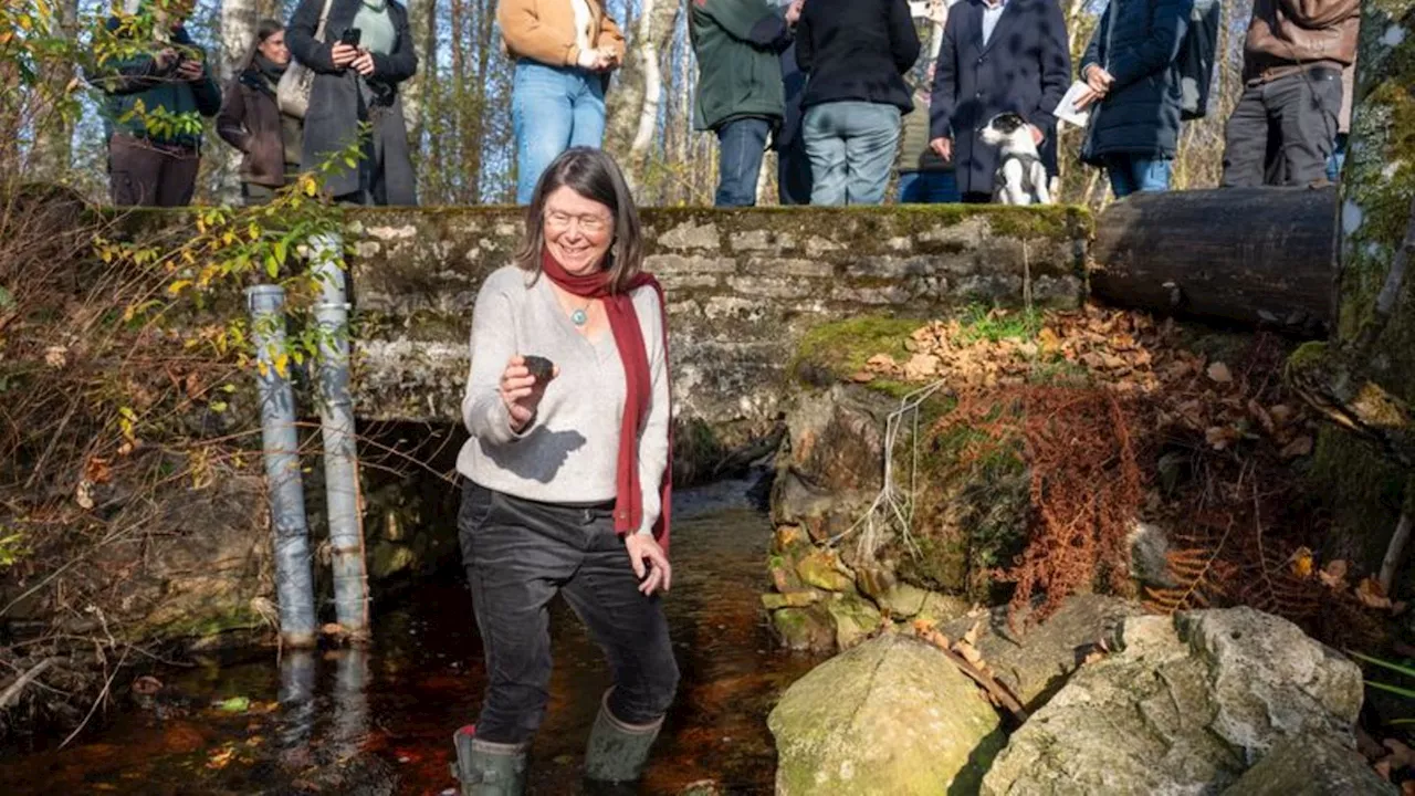 Nationalpark: Neuentdeckung: Große Freude über kleine Alge im Nationalpark