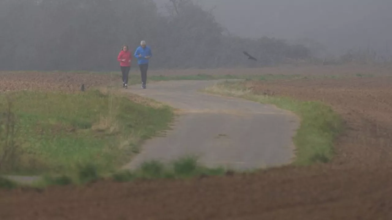 Wettervorhersage: Neblig-trübes Wetter in Rheinland-Pfalz und dem Saarland