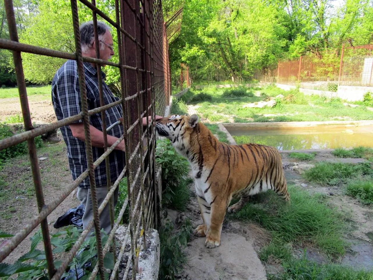« Zoo privé » d’Espiet en Gironde : l’ancien propriétaire condamné pour mauvais traitement sur animaux