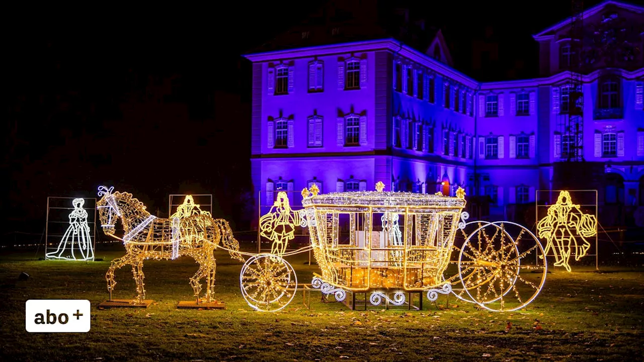 Insel Mainau wird zum Lichtermeer: Christmas Garden lockt Tausende Besucherinnen und Besucher auf die Blumeninsel