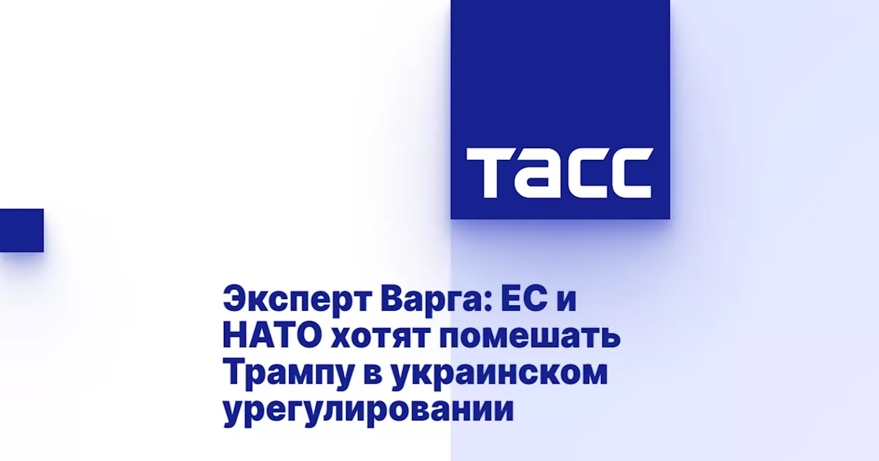 Эксперт Варга: ЕС и НАТО хотят помешать Трампу в украинском урегулировании