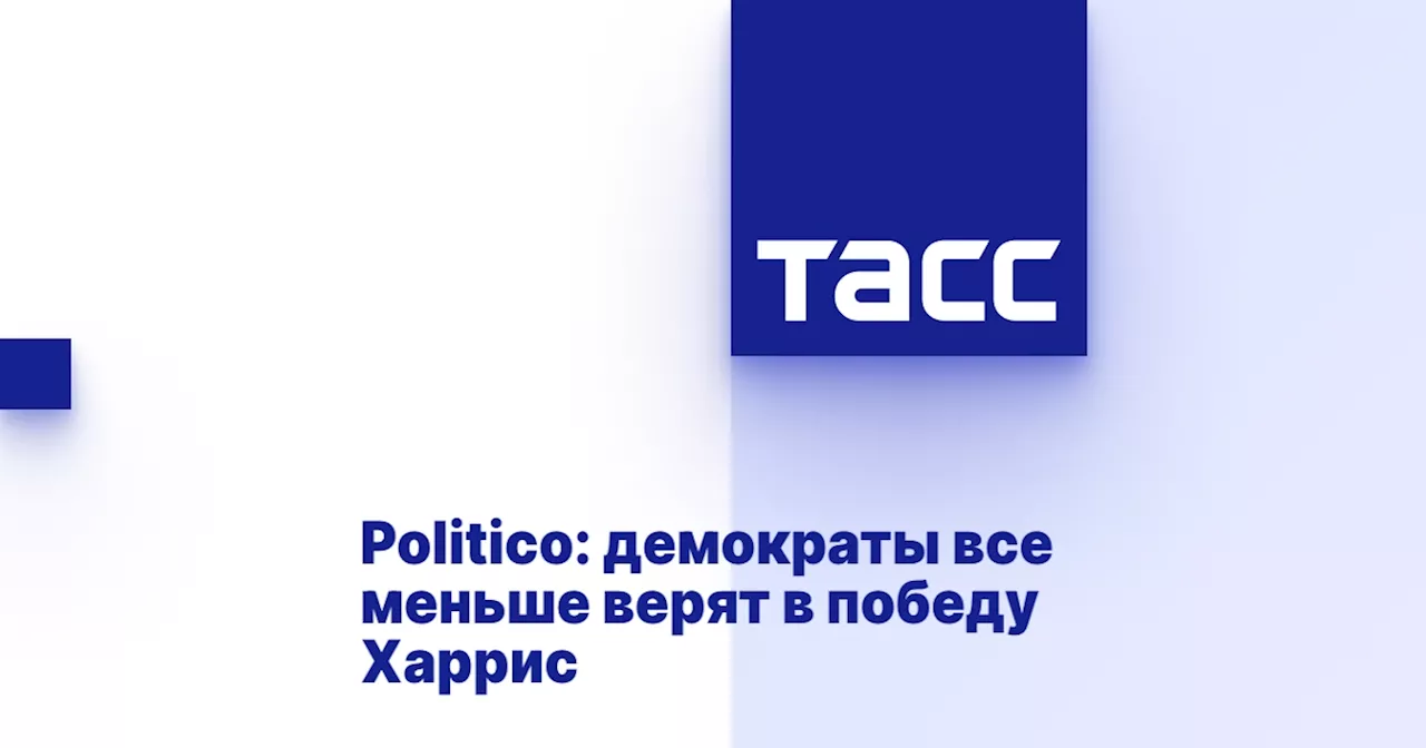 Politico: демократы все меньше верят в победу Харрис