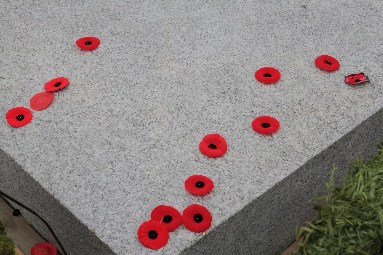 Here's where to find Remembrance Day Ceremonies in Thunder Bay