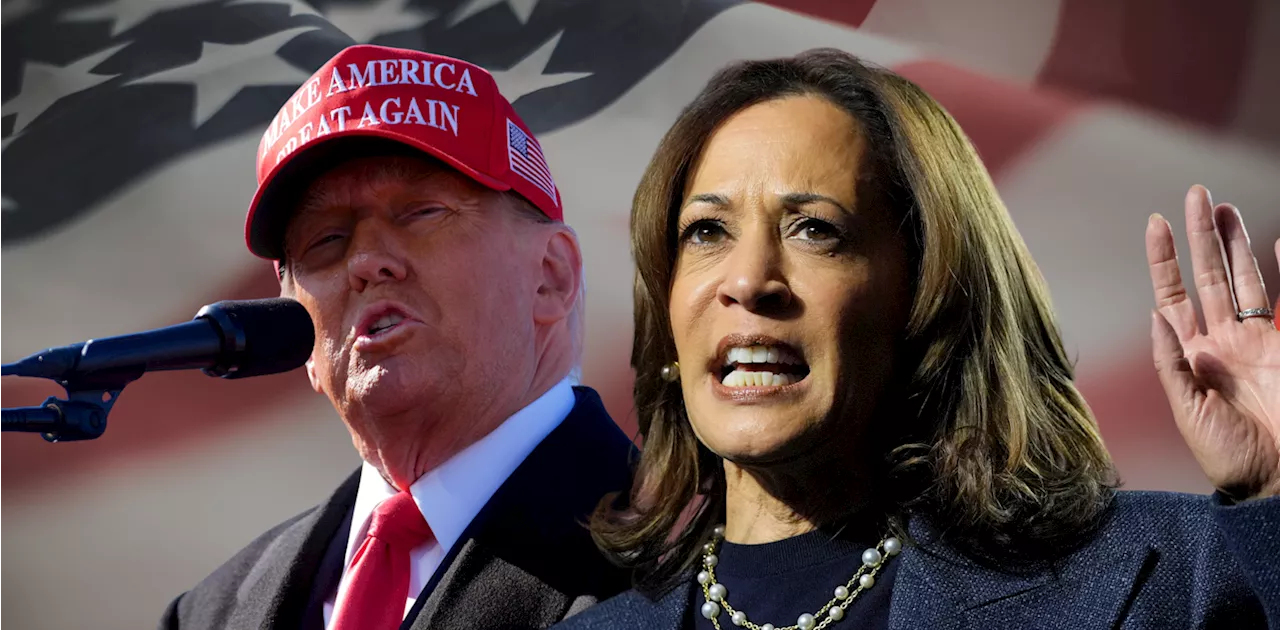 Will it be Kamala Harris or Donald Trump? Here’s what each needs to win