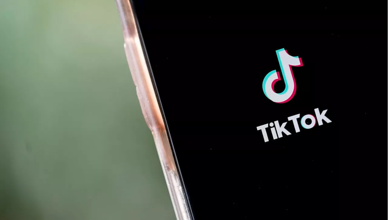 Antes quase banido por Trump, TikTok foi fundamental para sua eleição nos EUA