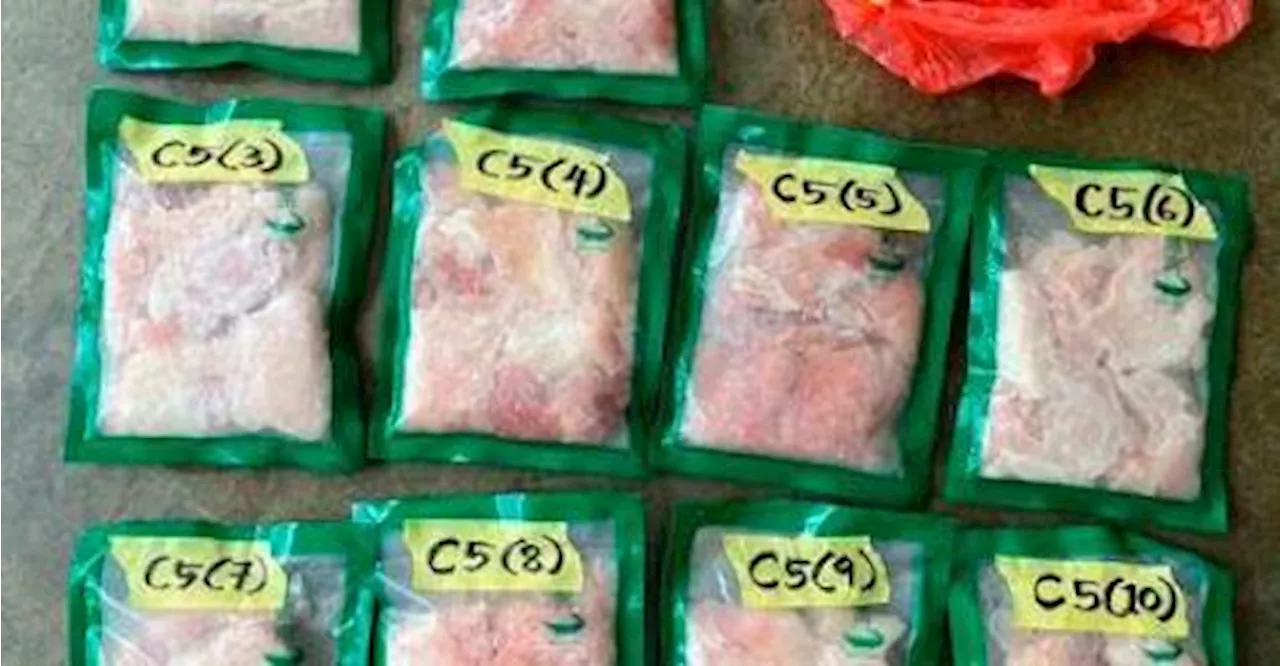 Restaurant raided for illegally storing exotic meat