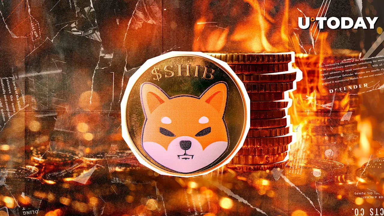 Shiba Inu (SHIB) Burn Rate Skyrockets 3,674% Amid Price Revival