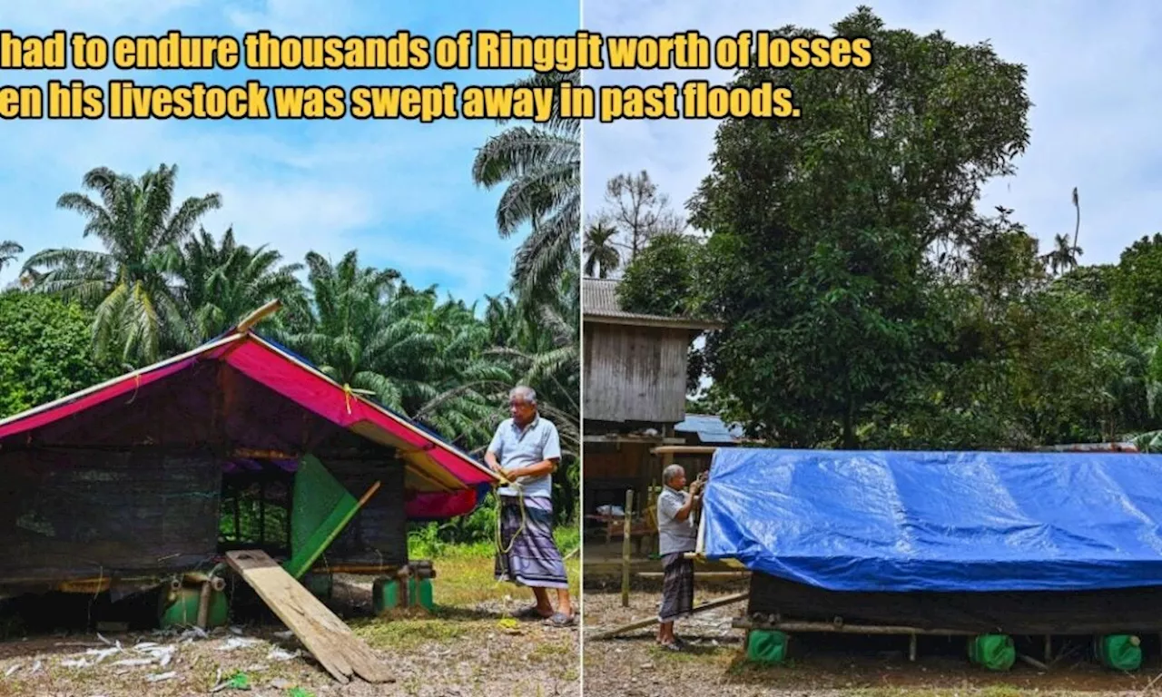  Elderly Terengganu Man Builds 'Floating Pen' for His Livestock to Survive Monsoon Floods