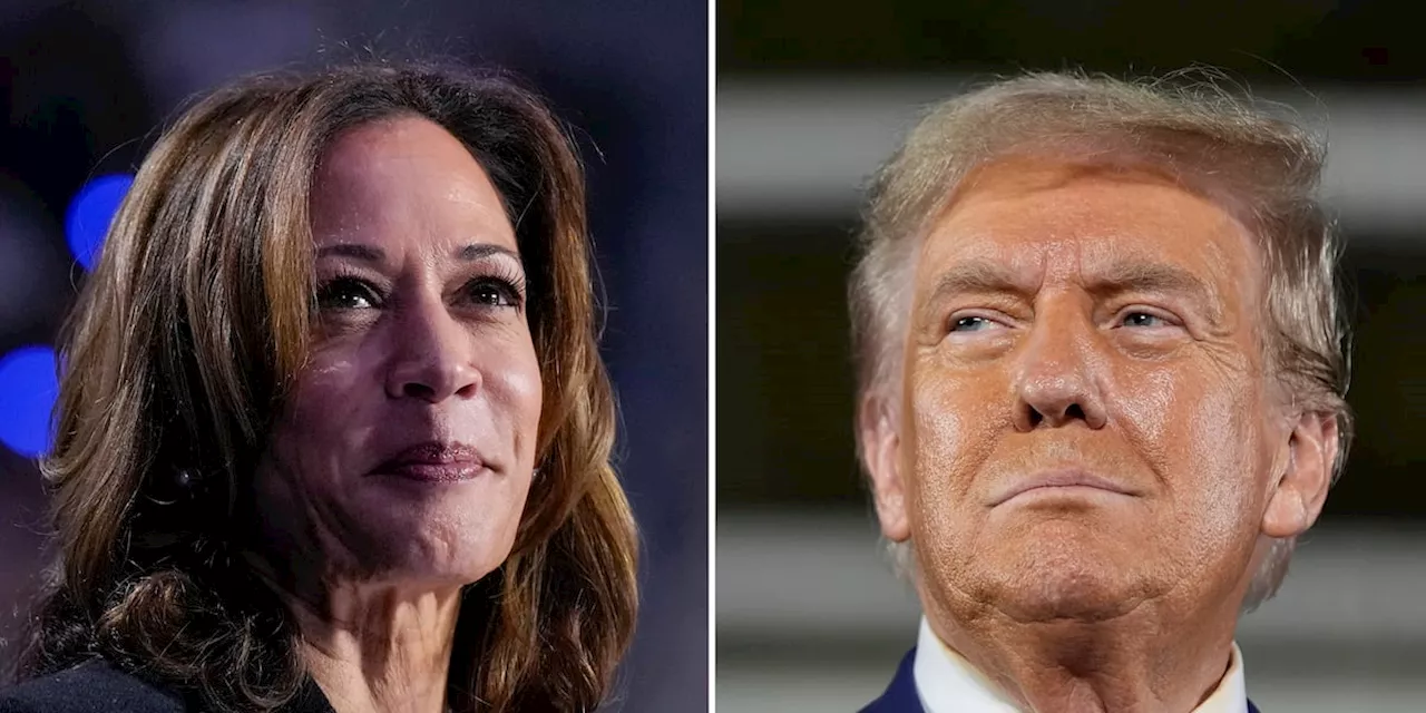 Harris calls Trump to congratulate him on election victory