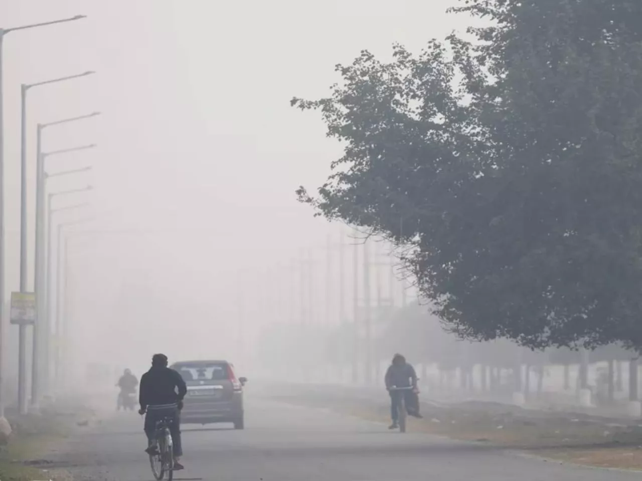 Maharashtra Weather : राज्यात थंडीची चाहूल! पण अजूनही काही ठिकाणी बरसणार पाऊस; IMD चा इशारा