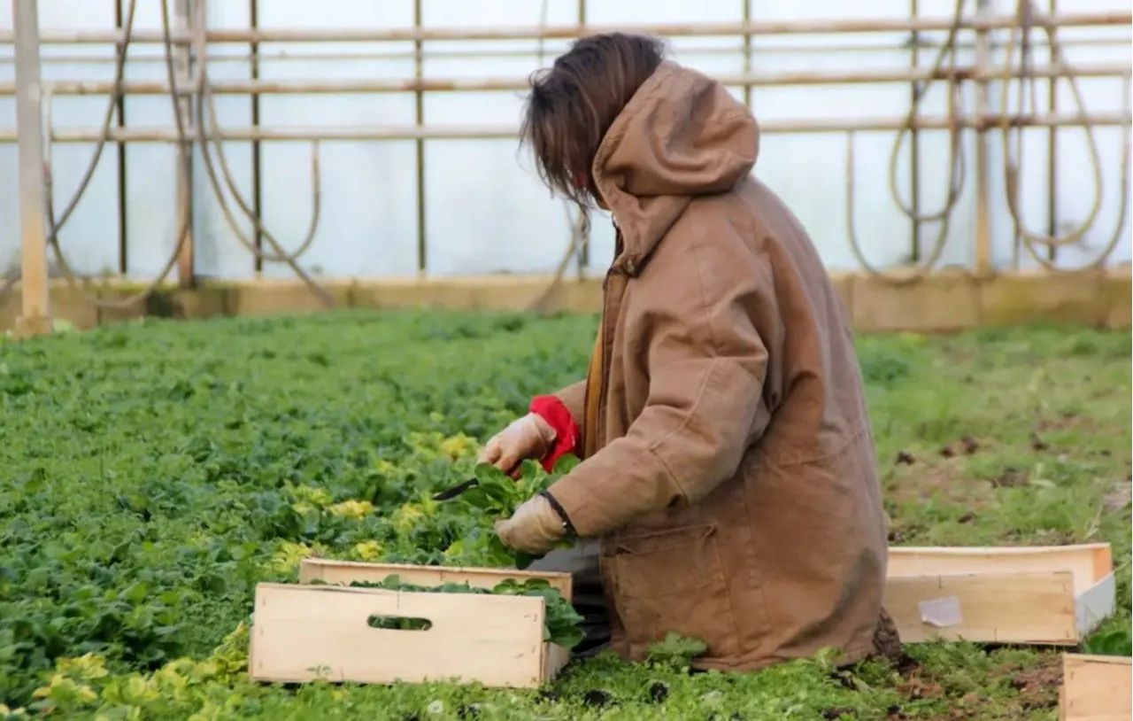 Ariège : Une agricultrice du Couserans sélectionnée pour l’édition 2025 du calendrier « Belles des Prés »