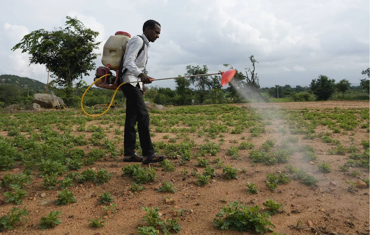 La ministre de l’Agriculture déplore des restrictions trop importantes pour certains pesticides