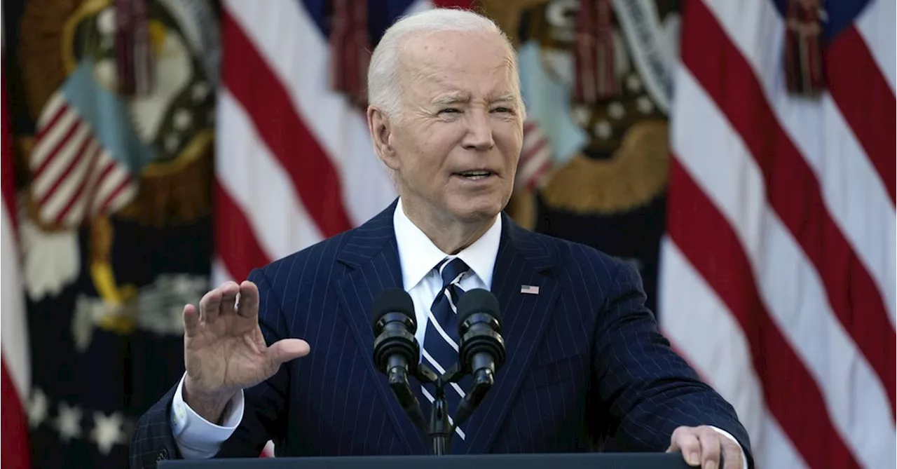 Biden gets blamed by Harris allies for vice president's resounding loss to Trump