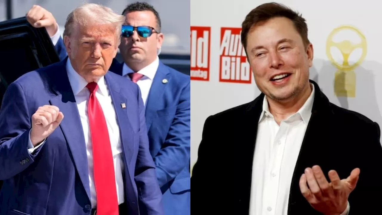 Donald Trump की जीत से ऐसा झूमा Tesla का शेयर... एलन मस्क ने झटके में कमा डाले ₹200000Cr