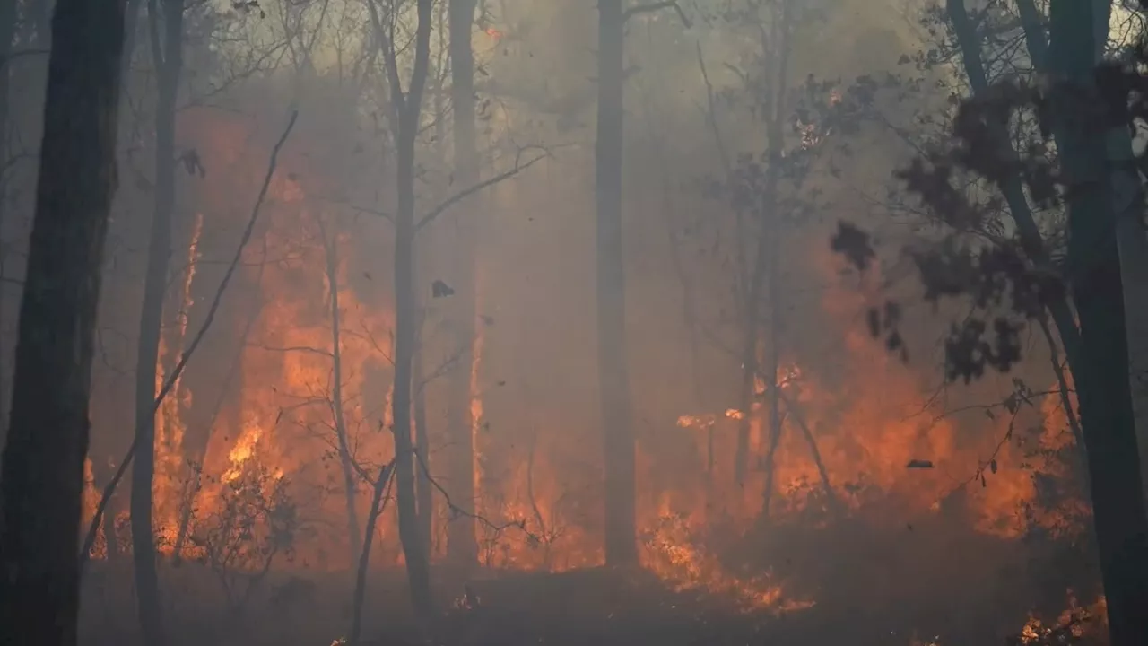 New Jersey wildfire consumes 175 acres, evacuating homes