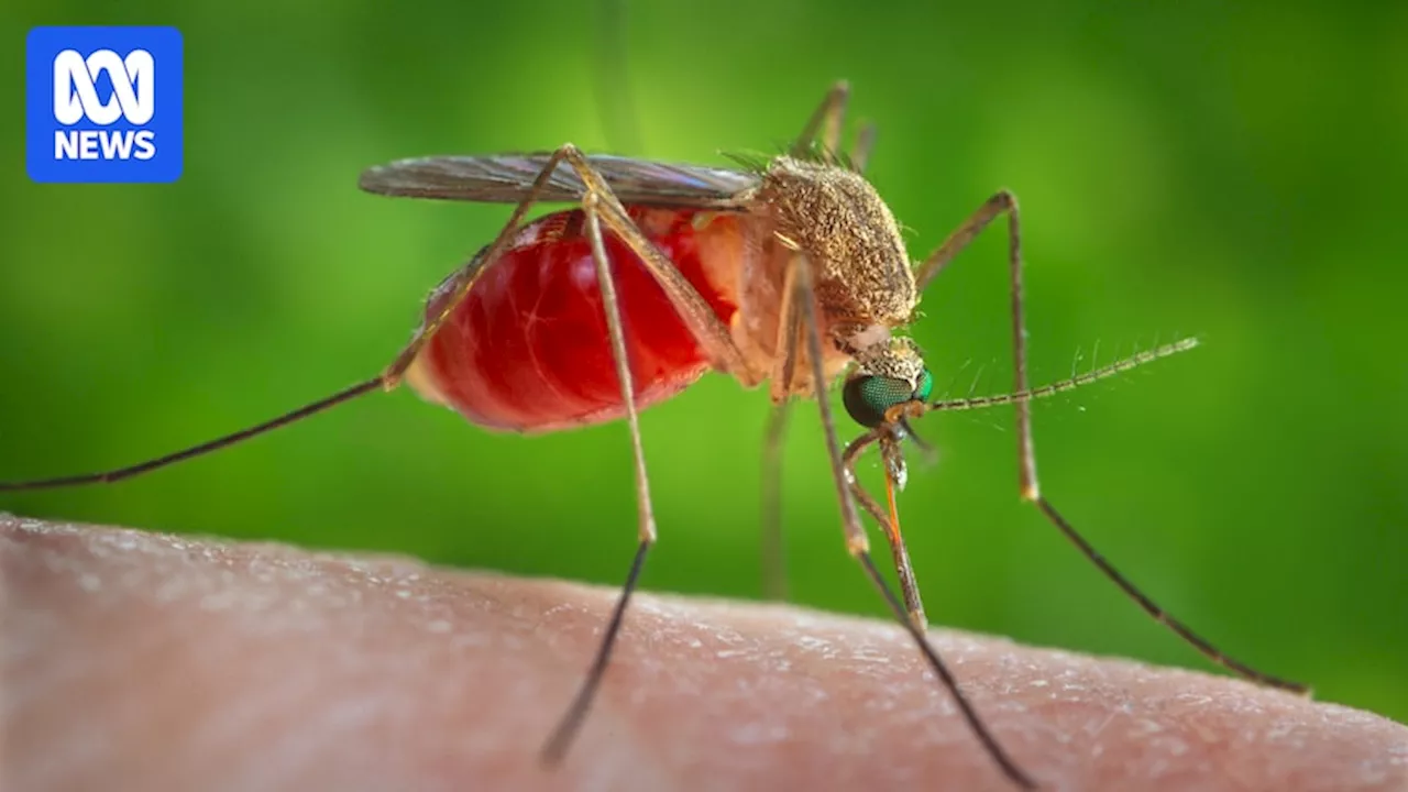 Climate change and chemicals on your skin put you at greater risk of getting bitten by a mosquito