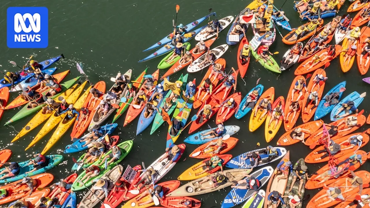 Rising Tide's Newcastle coal port protest blocked by NSW Supreme Court