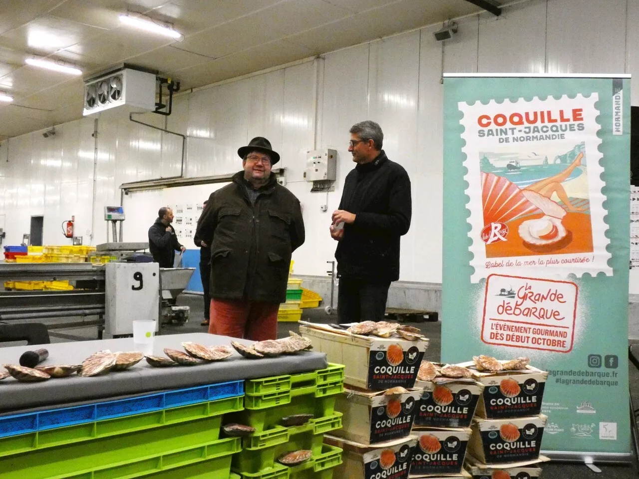 Coquille Saint-Jacques normande : des marchés à conquérir et à défendre