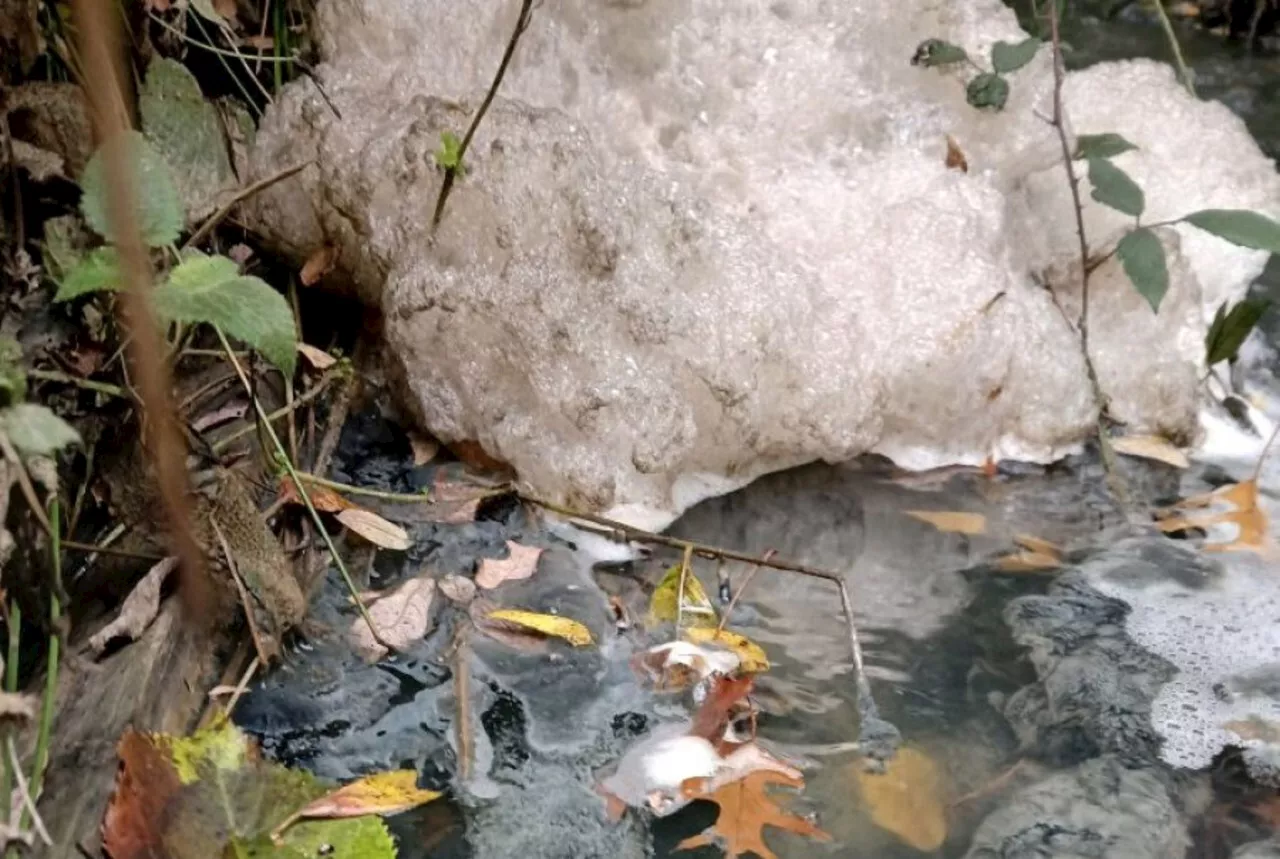 Près de Vitré : une pollution touche un étang et un ruisseau sur près de 2 km