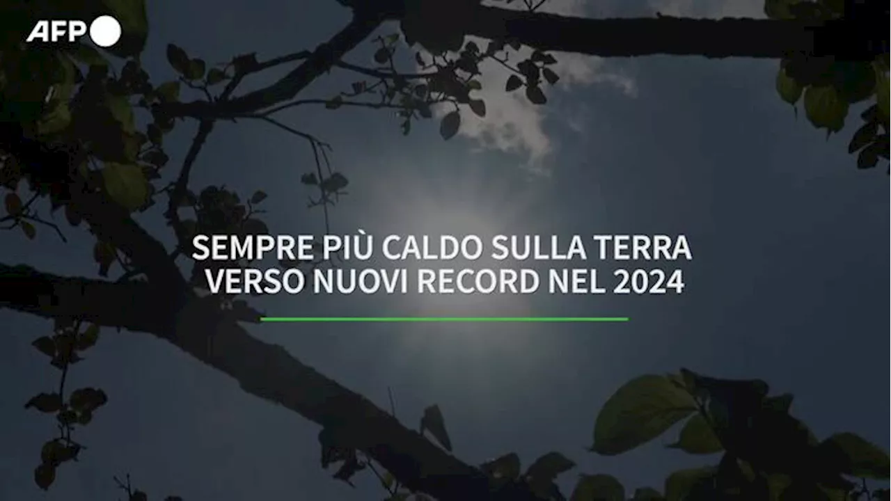 Sempre piu' caldo sulla Terra: verso nuovi record nel 2024