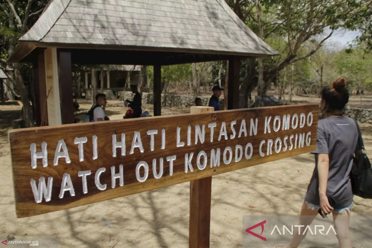 Pengamat: Kebijakan pariwisata perlu lihat posisi RI di mata dunia