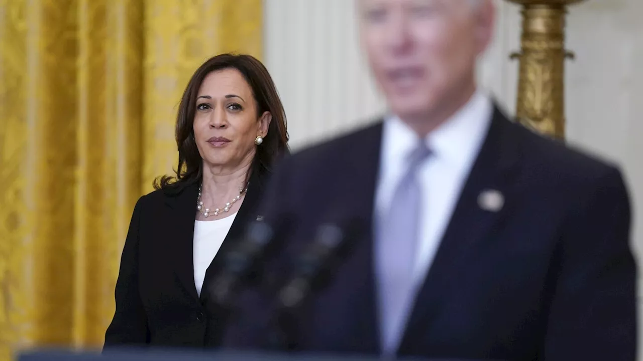 Kamala Harris' allies blame Joe Biden for her defeat to Donald Trump