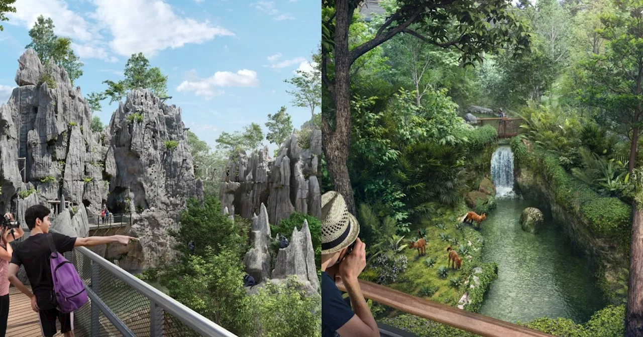 Adventure awaits: Singapore's 5th wildlife park to open in March 2025