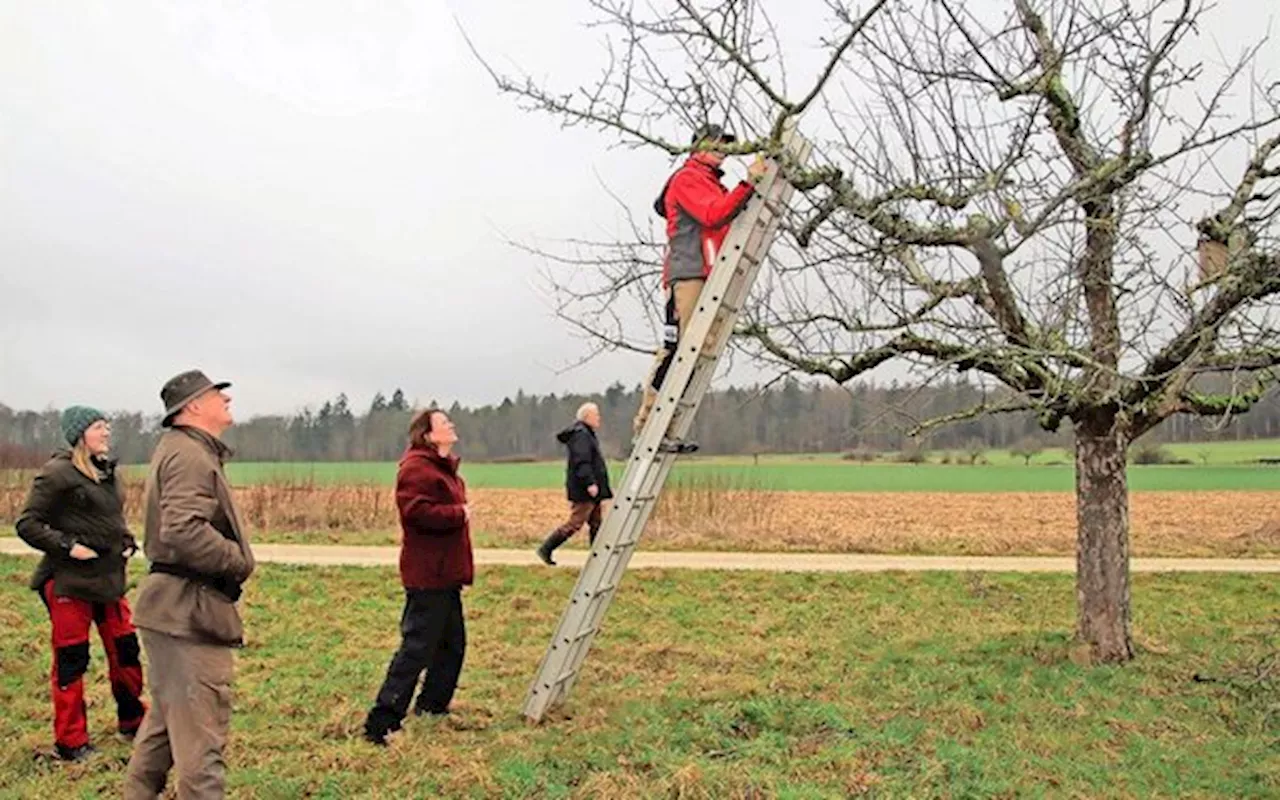 Naturpark Schaffhausen bereitet den Weg für die zweite Betriebsphase