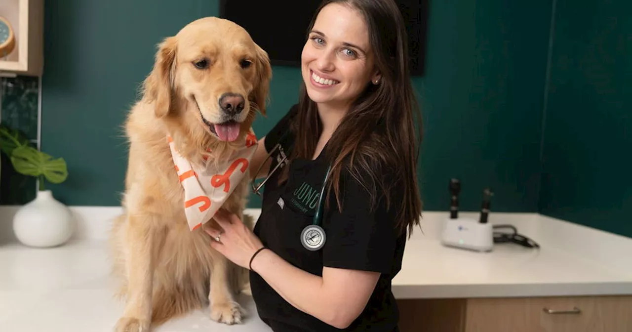 Popular Toronto vet clinic expands into city's high-fur zones