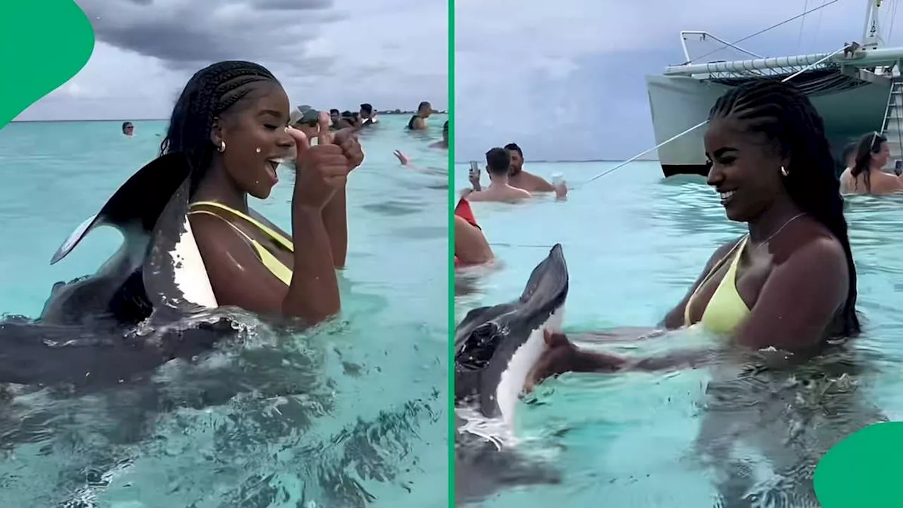 Woman’s Ocean Adventure Turns Chaotic as Stingray Attacks in TikTok Video, SA Stunned