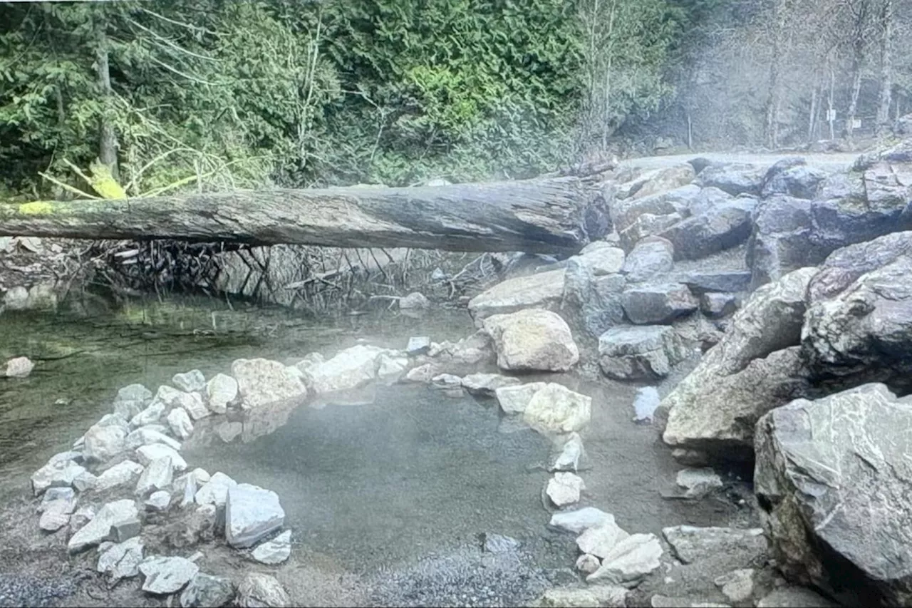 Who ruined Hobo Hot Springs? Ministry investigates as mystery roils Harrison, B.C.