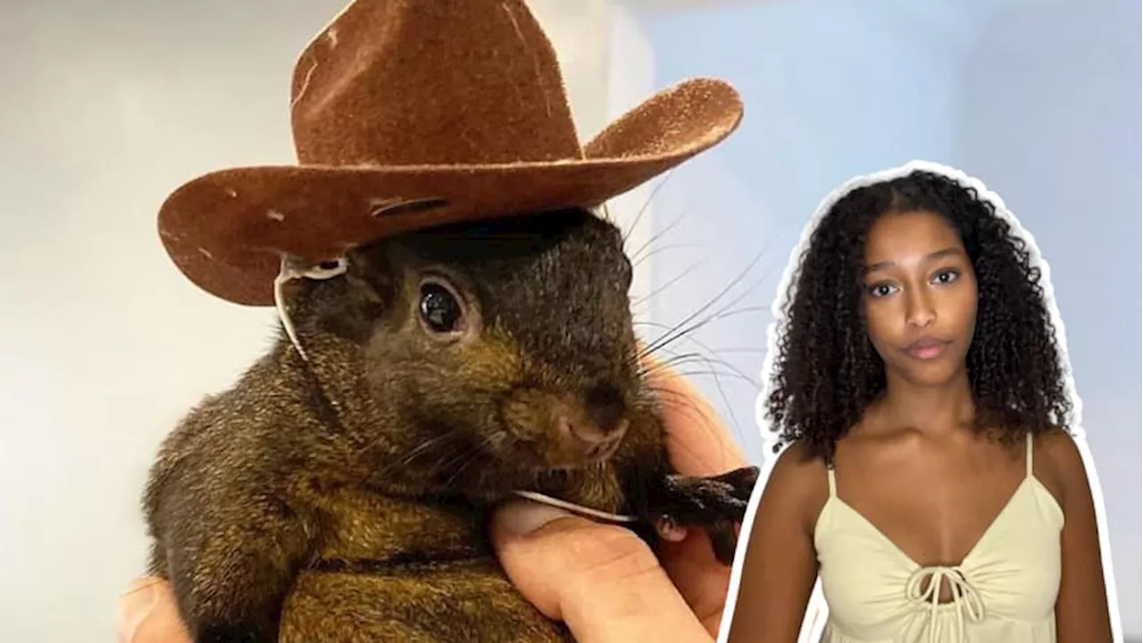 WATCH — Why people are angry about Peanut the squirrel’s death