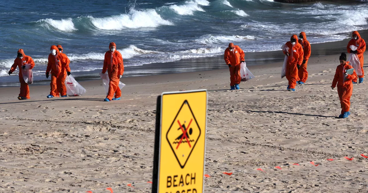 Origin of black balls on Australian beaches still a mystery, but composition is confirmed, and it's gross