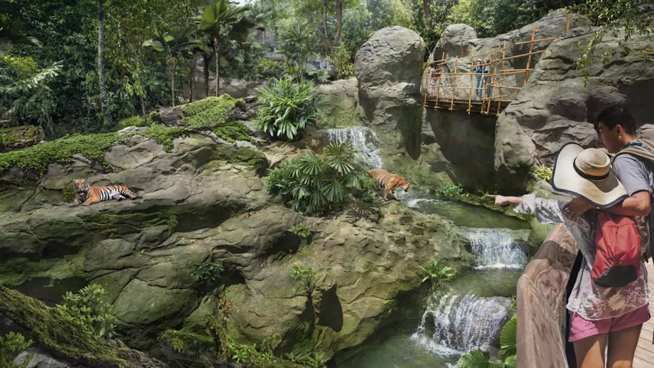 Singapore's fifth wildlife park to open in March 2025