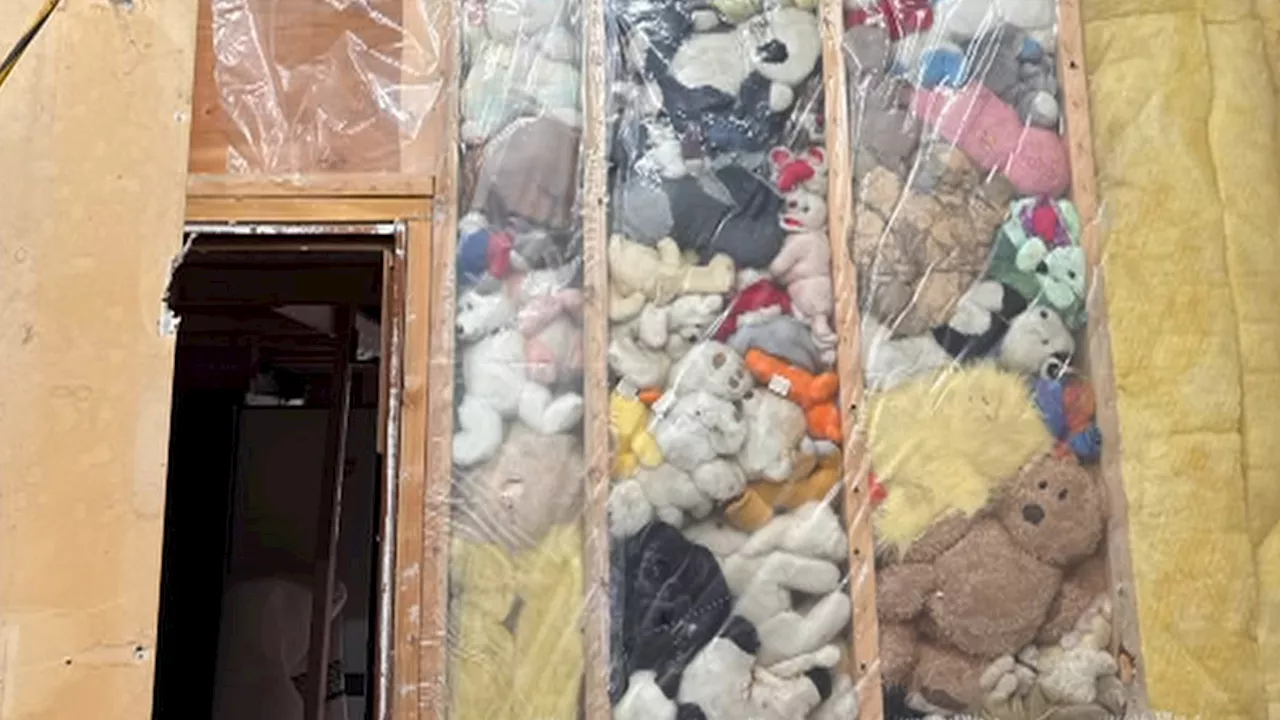 ‘There were more’: Sooke homeowner finds bags of vintage toys behind drywall in viral video