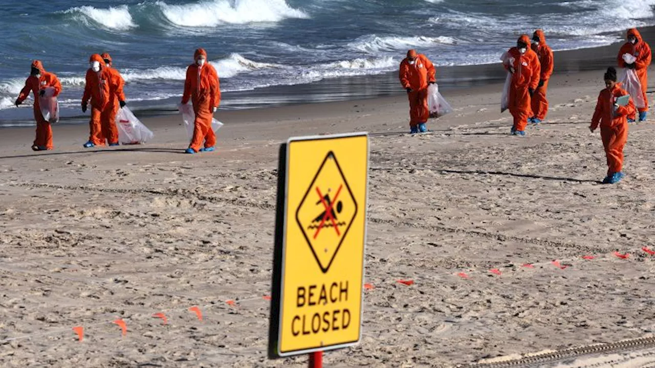 Mysterious black balls that washed up on Sydney beach were foul-smelling mini ‘fatbergs’