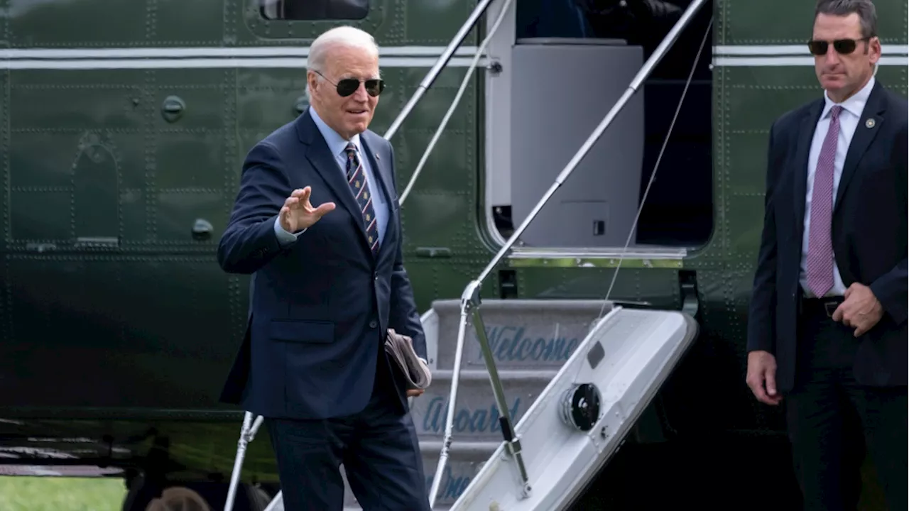 Biden gets blamed by Harris allies for the vice president's resounding loss to Trump