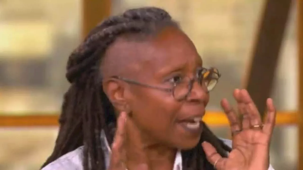 Whoopi Goldberg is forced to stop The View co-hosts' heated argument over Kamala Harris' election...