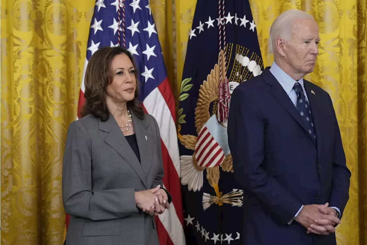 Democrats should blame themselves, not Biden, for Harris’s loss