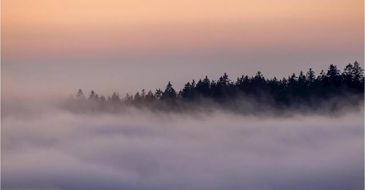 Wetter am Wochenende in Österreich nebelig und sonnig