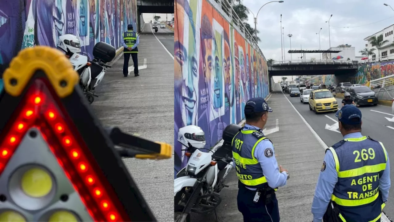 Así regirá el pico y placa en Cali para el viernes 8 de noviembre de 2024