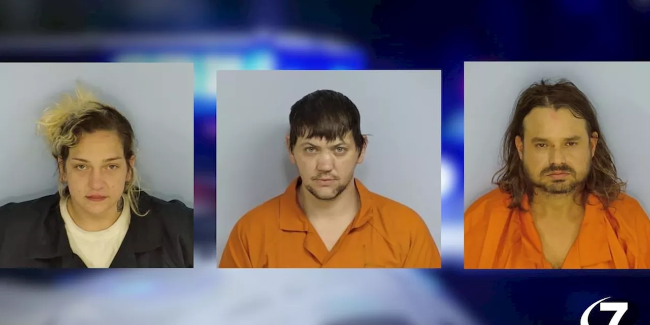 Three arrested in a narcotics investigation in Walton County