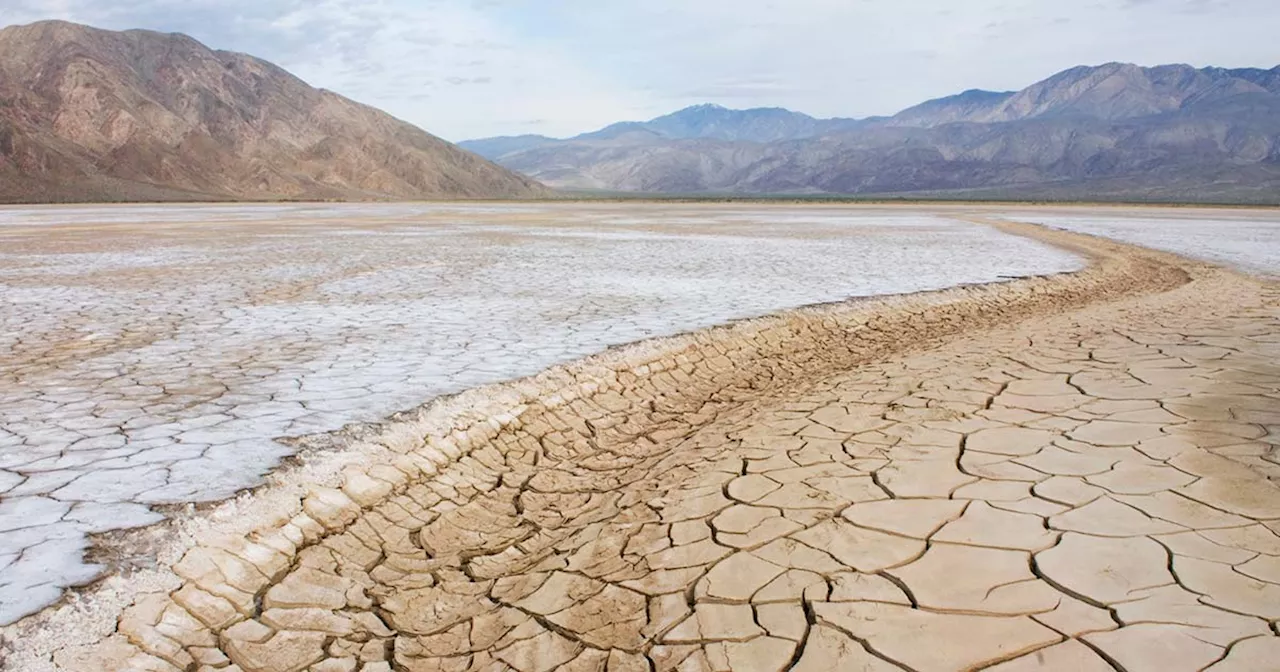 As Trump Prepares to Slash Environmental Protections, 48 of the 50 States Are Facing Droughts