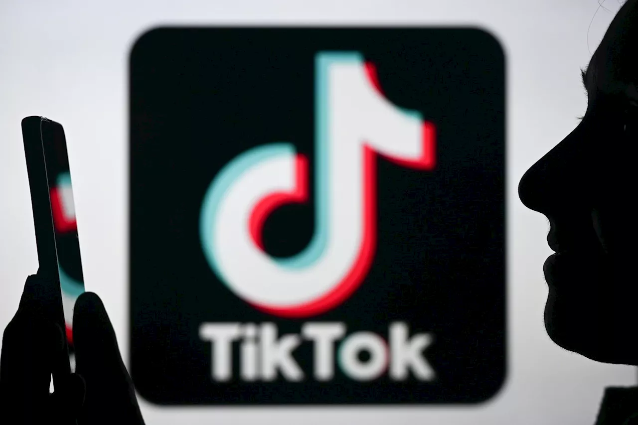 Canada Is Doing Its Own Extremely Weird TikTok Ban