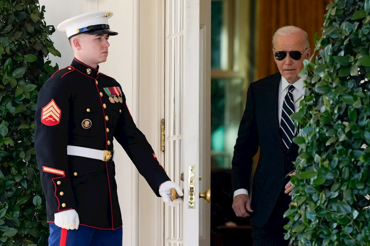 Joe Biden kneecapped the Democrats – and deserves much of the blame for their loss