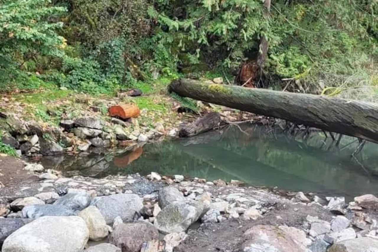 Who ruined Hobo Hot Springs? Ministry investigates as mystery roils village in B.C.