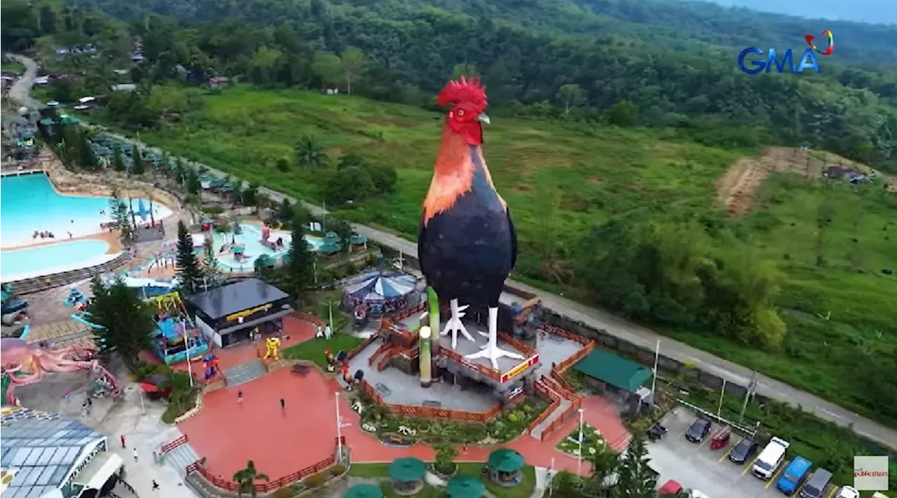 Dating isang kahig-isang tuka, nakapagpatayo ng resort na may hotel na hugis manok