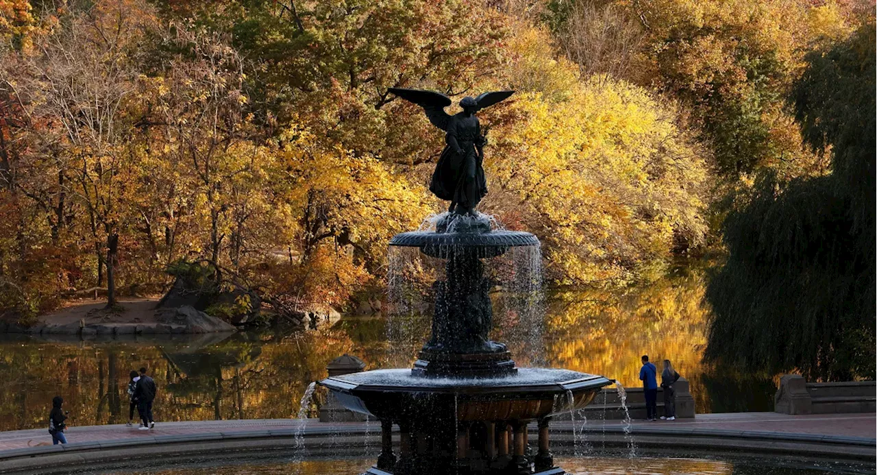 NYC to get cooler temps for Veterans Day weekend, forecasters say