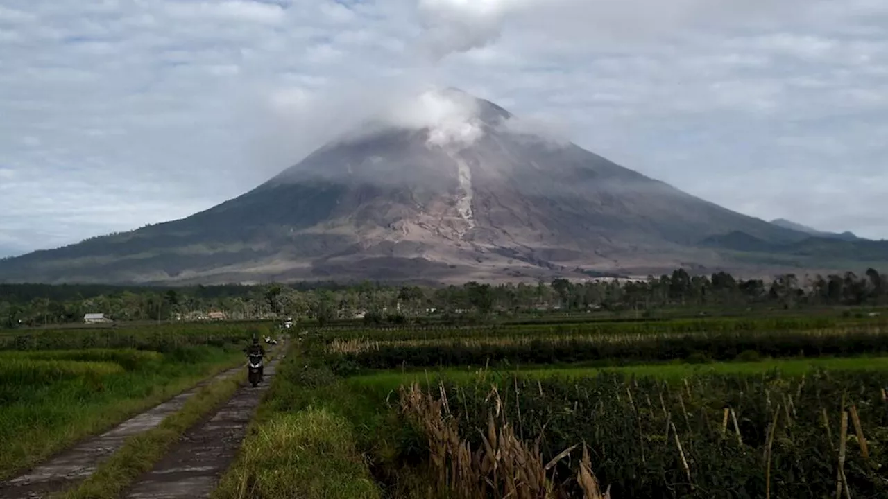 Gunung Semeru Alami Erupsi Belasan Kali, Status Masih Waspada